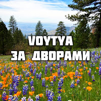 Voytya - За Дворами загрузить
