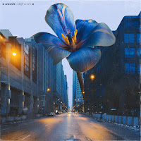 Wildflowers - Mash загрузить