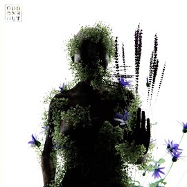 Yotto - No Ending (Nils Hoffmann Extended Remix) Ft Julia Church & Nils Hoffmann загрузить