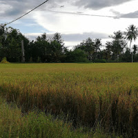 Yung Da Producer - Gmfu загрузить