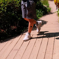 Zachz Winner - Luckyy загрузить