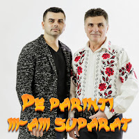 Zorile Din Galati - Alta Usa Am Nimerit загрузить